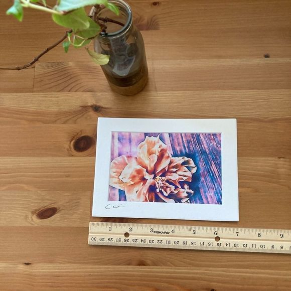 New Original Signed Photography Color Hibiscus - Picture 5 of 5